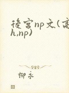 后宫np文(高h,np)