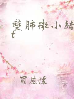 双肺微小结节ct