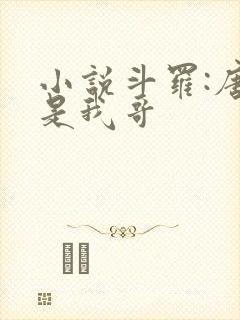 小说斗罗:唐三是我哥