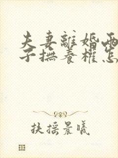 夫妻离婚两个孩子抚养权怎么判