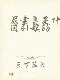 尿黄臭是什么原因引起的