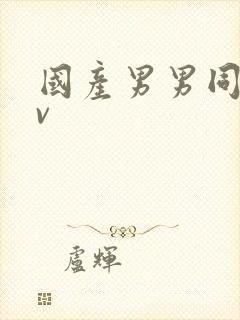 国产男男同志av