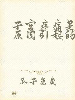 子宫疼痛是什么原因引起的