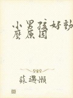 小男孩好动是什么原因