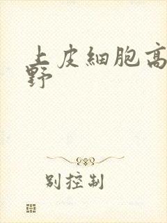 上皮细胞高倍视野