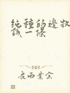 纯种的边牧多少钱一条