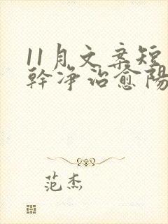 11月文案短句干净治愈阳光