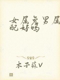 女属兔男属鼠婚配好吗