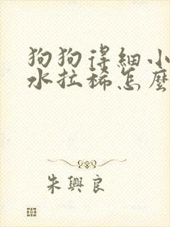 狗狗得细小吐黄水拉稀怎么回事