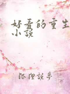 好看的重生总裁小说