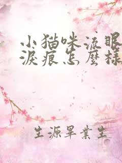 小猫咪流眼泪有泪痕怎么样治疗