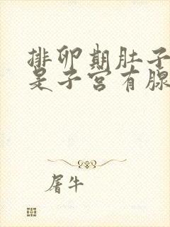 排卵期肚子巨疼是子宫有腺肌症