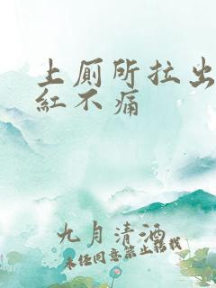 上厕所拉出血鲜红不痛