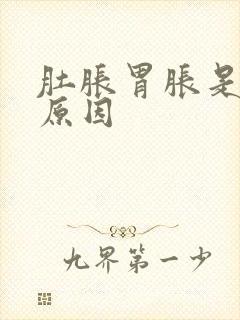 肚胀胃胀是什么原因