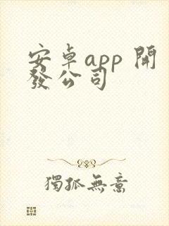 安卓app 开发公司