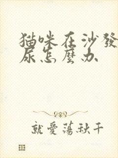 猫咪在沙发上拉尿怎么办