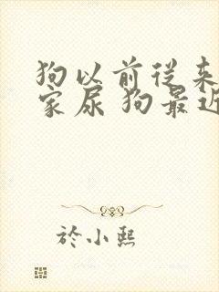 狗以前从来不在家尿 狗最近老在家里尿