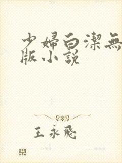 少妇白洁无删减版小说