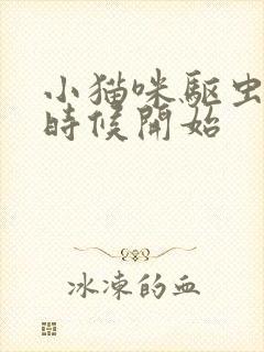 小猫咪驱虫什么时候开始