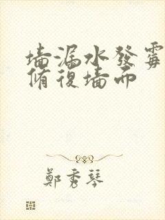 墙漏水发霉怎么修复墙面