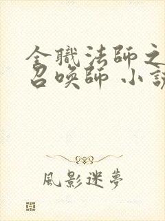 全职法师之全职召唤师 小说