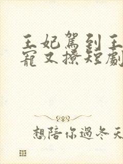 王妃驾到王爷又宠又撩短剧免费观看