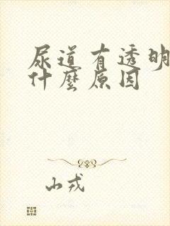 尿道有透明液体什么原因