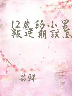 12岁的小男孩叛逆期该怎么办