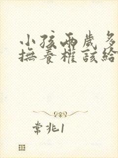 小孩两岁多离婚抚养权该给谁