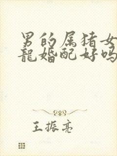 男的属猪女的属龙婚配好吗