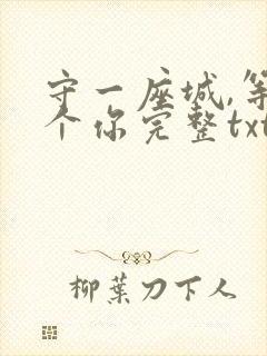 守一座城,等一个你完整txt下载