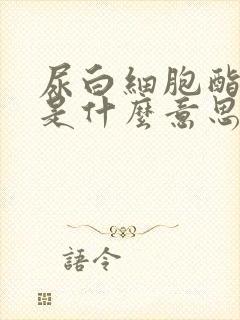 尿白细胞酯酶+是什么意思