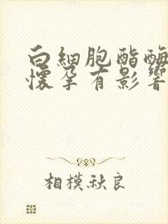 白细胞酯酶阳性怀孕有影响吗