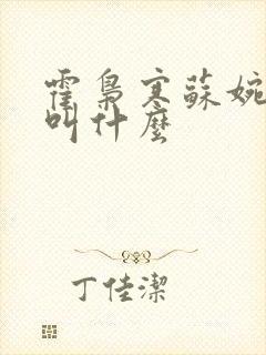 霍枭寒苏婉短剧叫什么