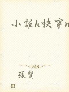 小说h快穿np