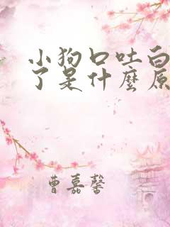 小狗口吐白沫死了是什么原因