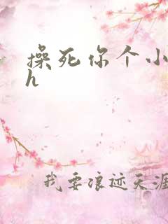 操死你个小骚货h