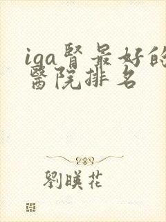 iga肾最好的医院排名