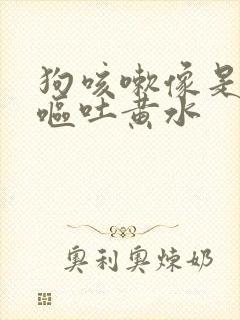 狗咳嗽像是卡干呕吐黄水