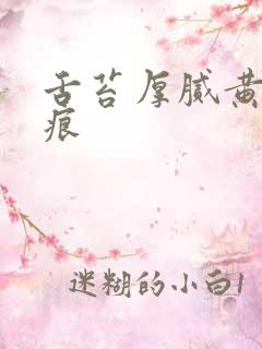 舌苔厚腻黄有齿痕