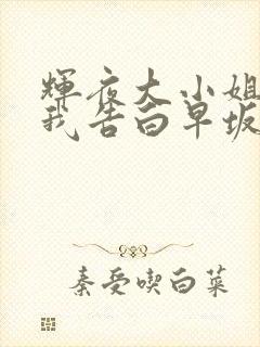 辉夜大小姐想让我告白早坂爱