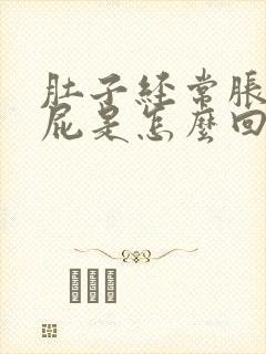 肚子经常胀气放屁是怎么回事