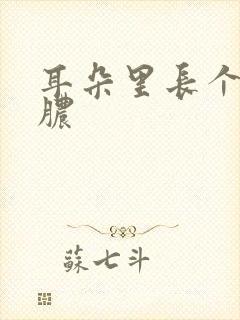 耳朵里长个包流脓