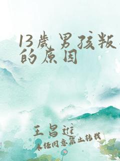 13岁男孩叛逆的原因