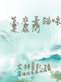 怎么看猫咪是不是尿闭