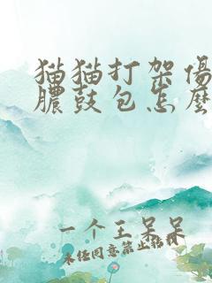 猫猫打架伤口化脓鼓包怎么办