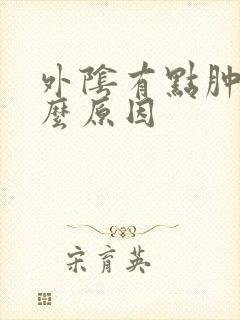 外阴有点肿是什么原因