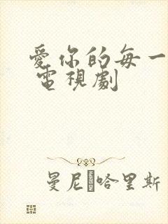 爱你的每一个我 电视剧