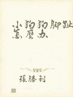 小狗狗脚趾红肿怎么办