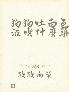 狗狗吐白色的黏液吃什么药好